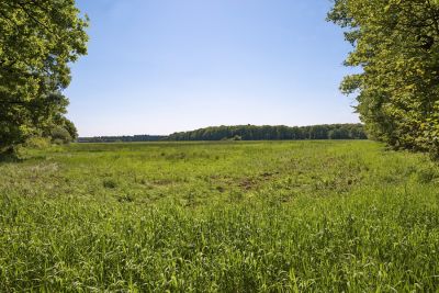 Zwischen Venushügel und Bad Godesberg