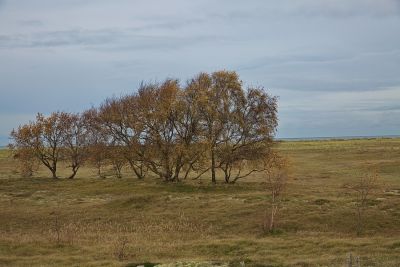 Weissenhäuser Strand