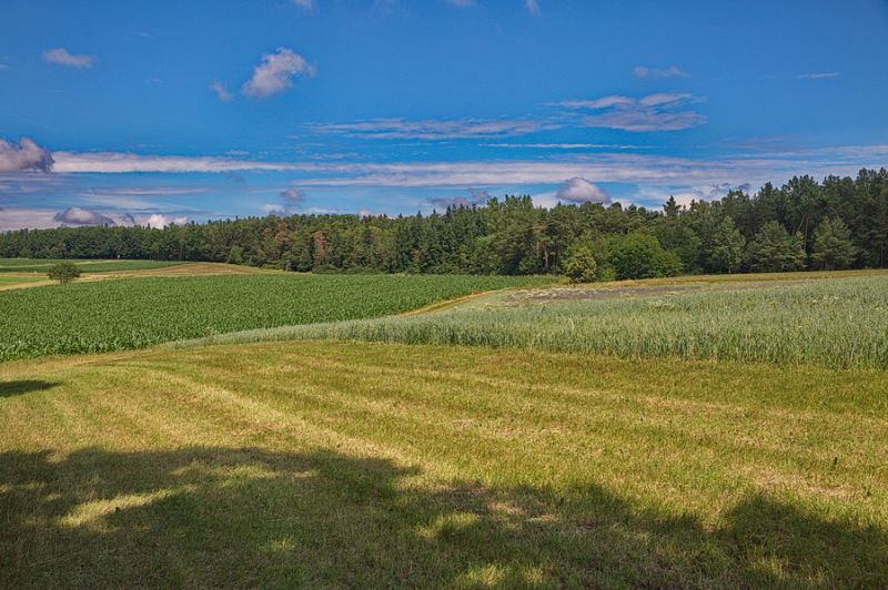 Zwischen Ansbach und Colmberg