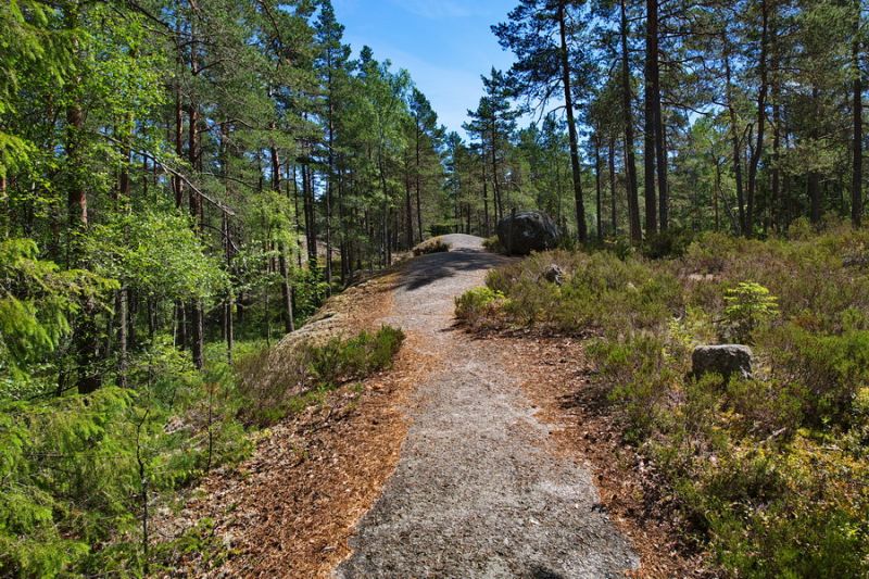 Nationalpark Tiveden