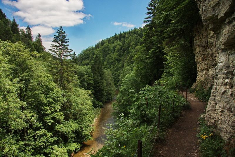 Blick in die Wutachschlucht