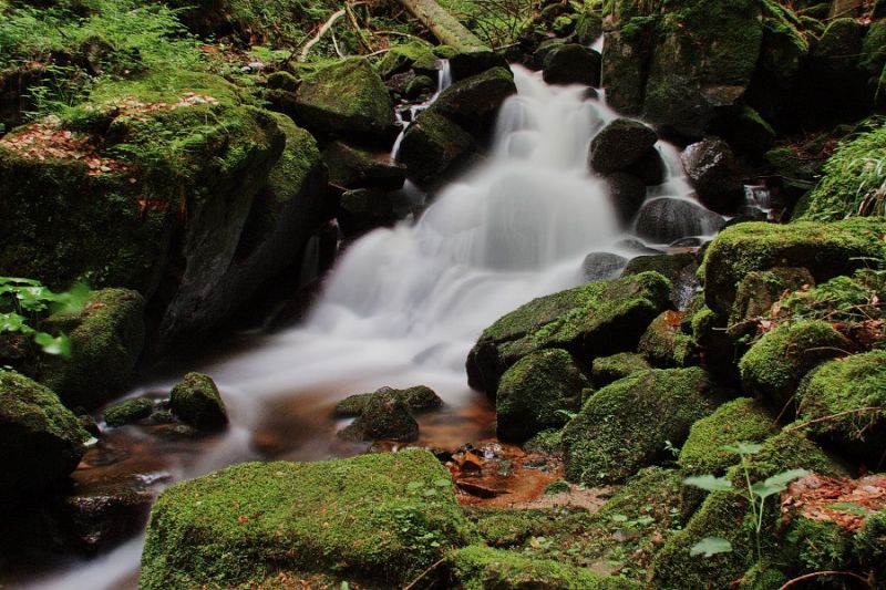 In der Windbergschlucht