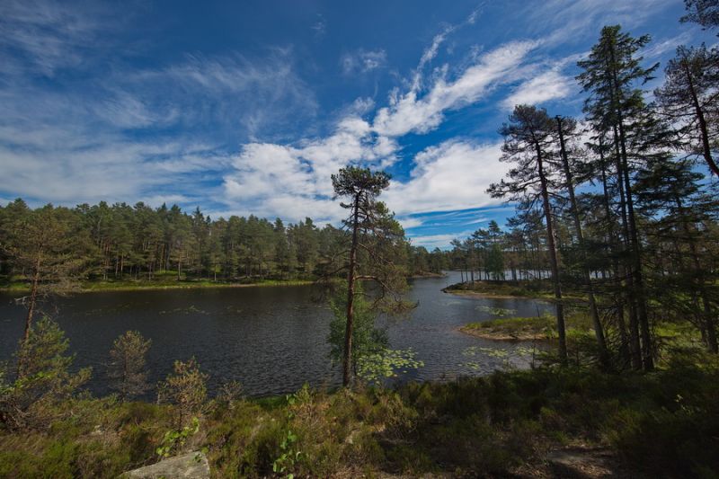 Nationalpark Tresticklan