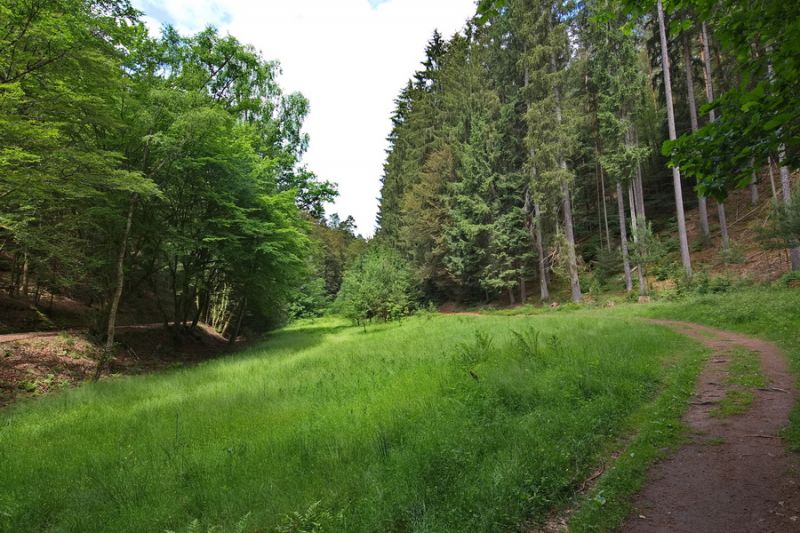 Altschlossfelsenpfad