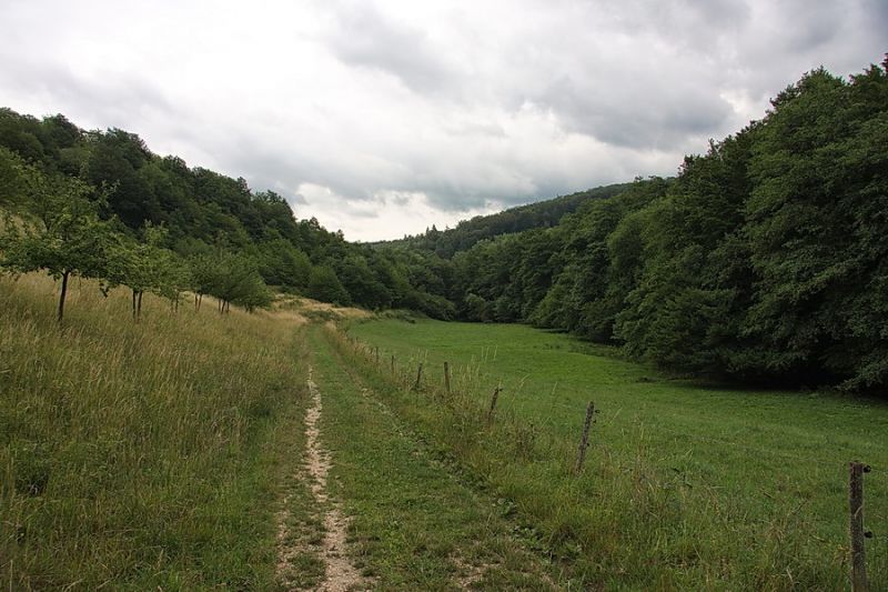 Steyerbachtal