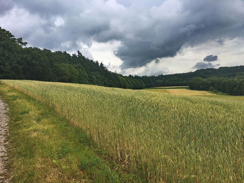Zwischen Wildbad und Kirnberg