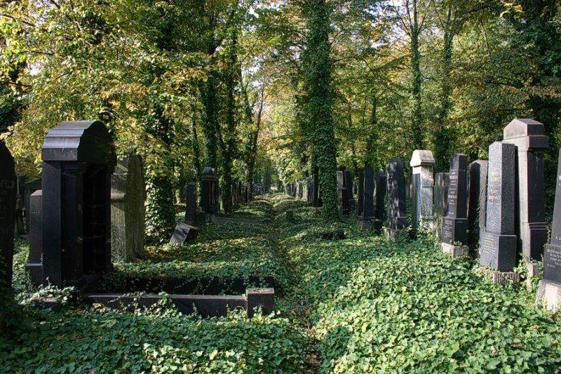 Neuer jüdischer Friedhof