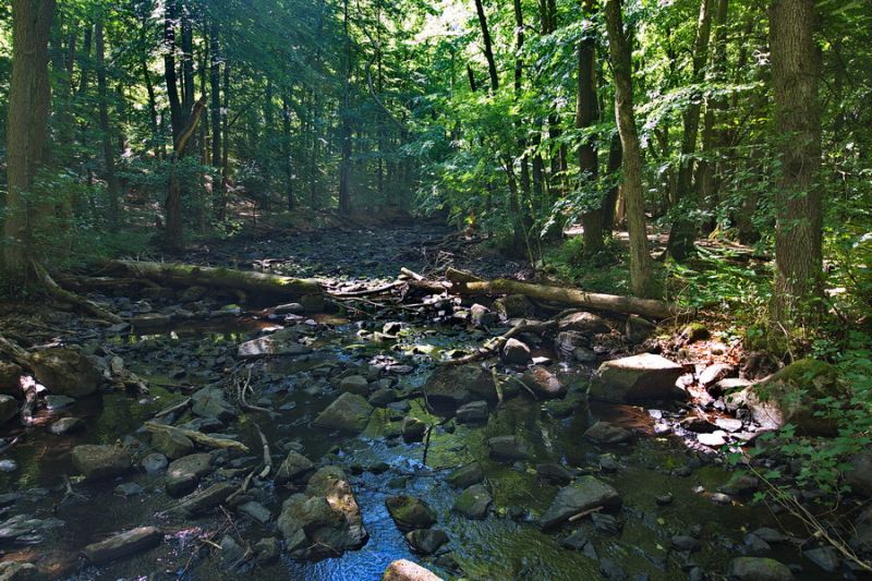 Nationalpark Söderasen