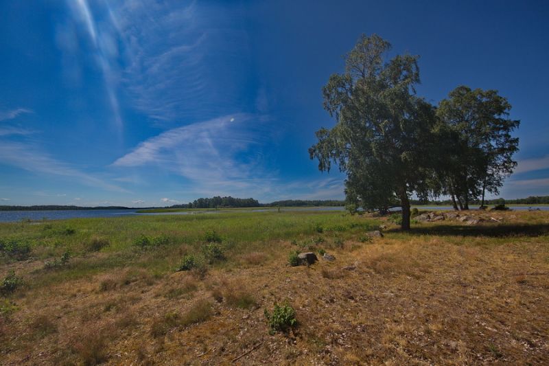 Naturreservat Nötön Aspergarden