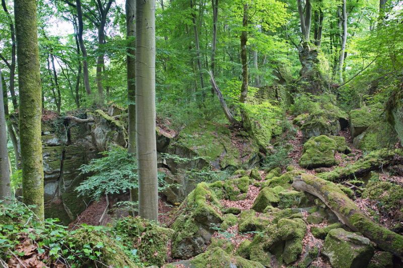 Rund um die Teufelsschlucht