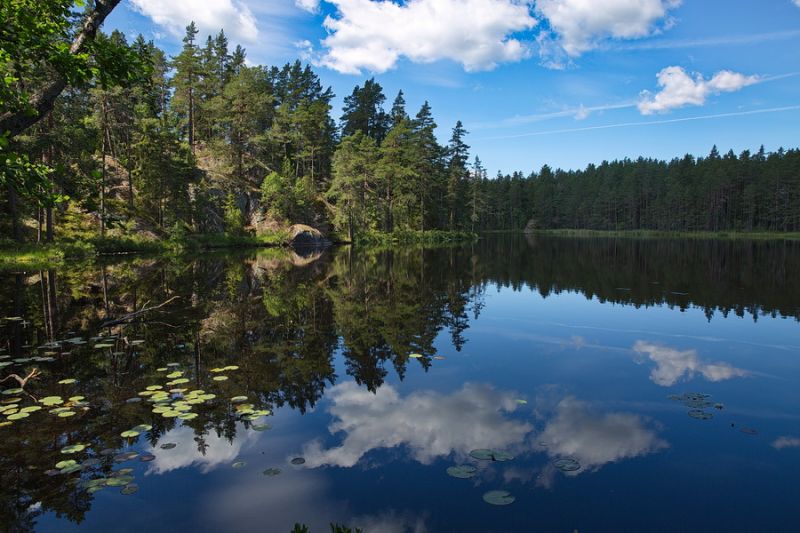 Nationalpark Tiveden