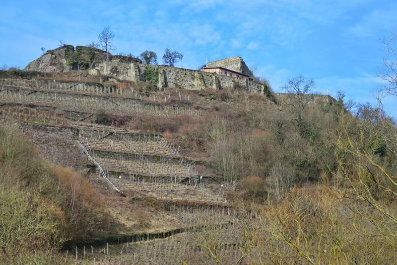 Die Saffenburg bei Mayschoß