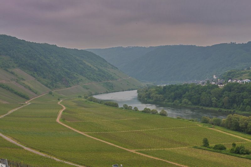 Mosel bei Pünderich