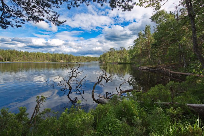 Tyresta Nationalpark