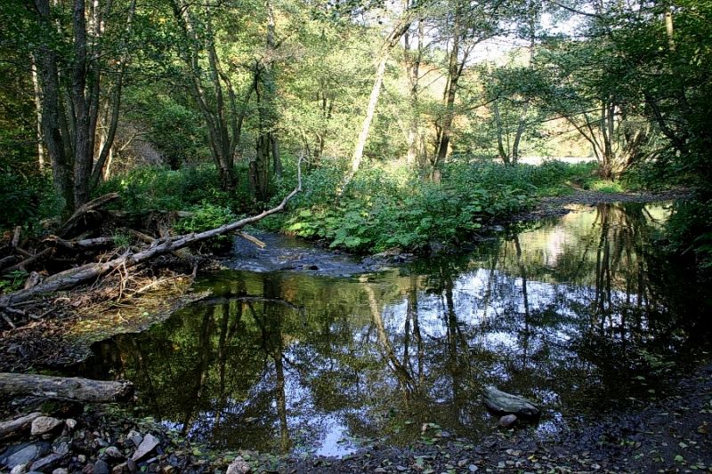 Spiegelungen Schmidtburg