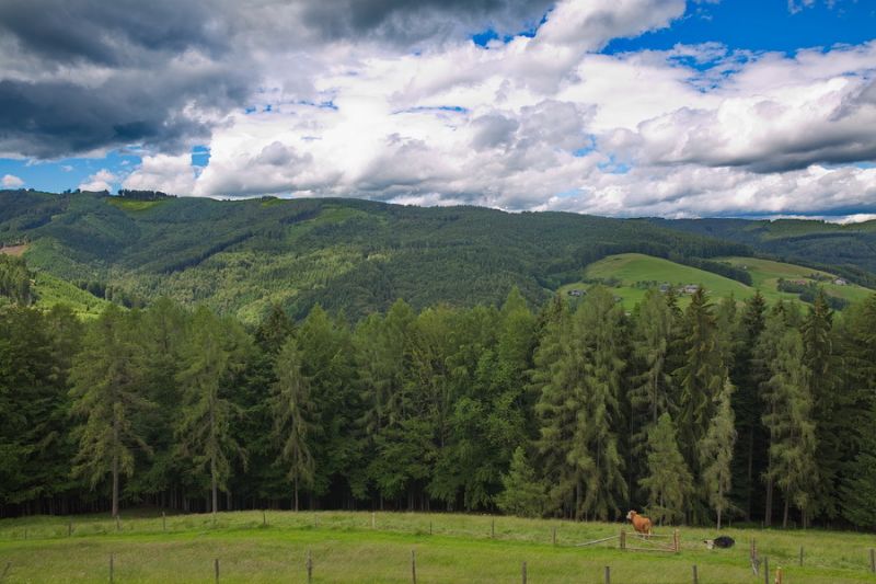 Blick auf den Schwarzenbachgraben