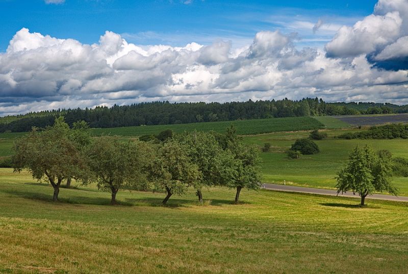 Zwischen Kirnberg - und Unteroestheim