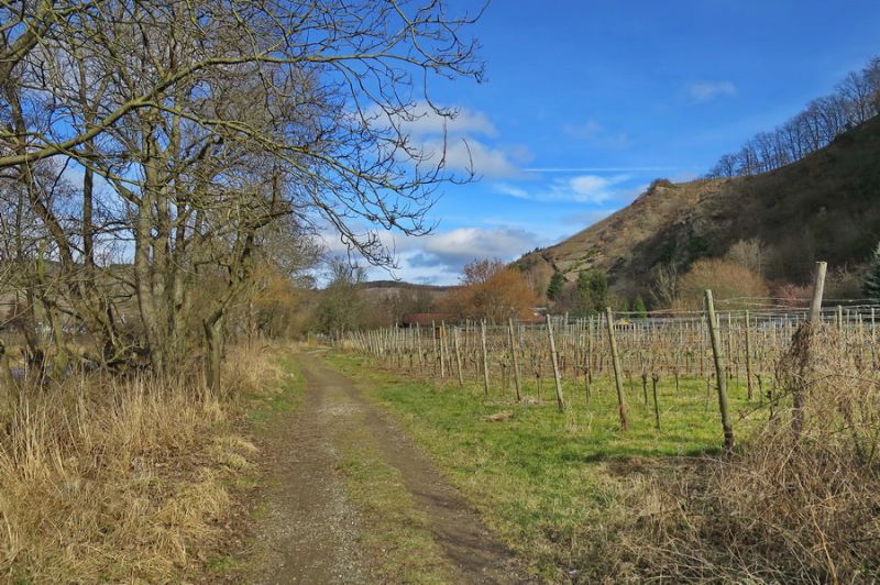 Zwischen Rech und Dernau